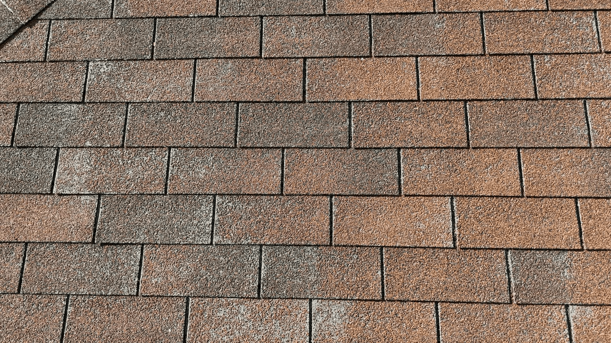 Lakefront Home Roof